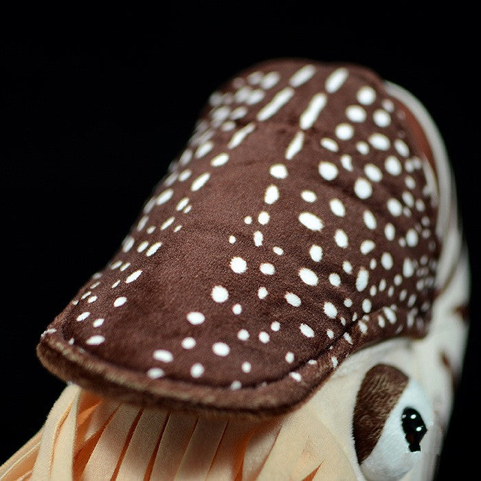Nautilus Stuffed Animal