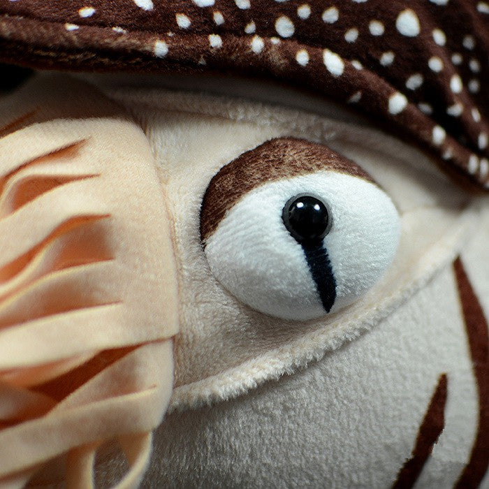 Nautilus Stuffed Animal