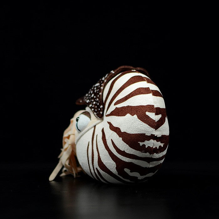Nautilus Stuffed Animal