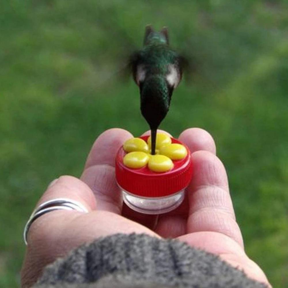 Suction Cup Hummingbird Feeder